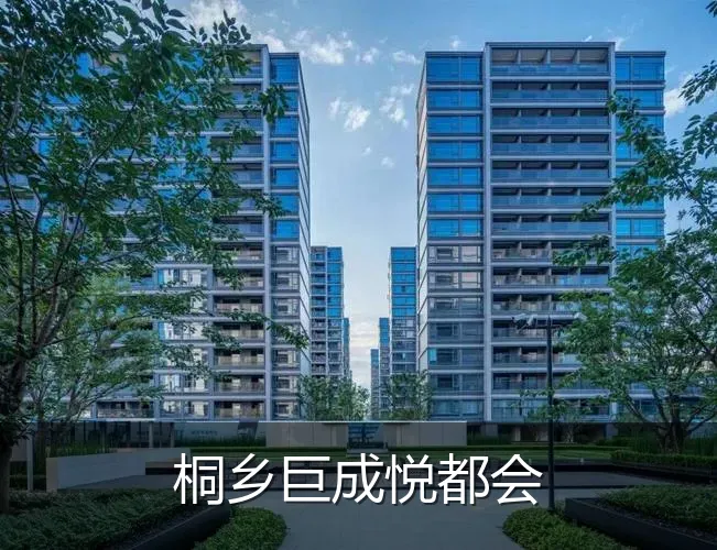 桐乡巨成悦都会