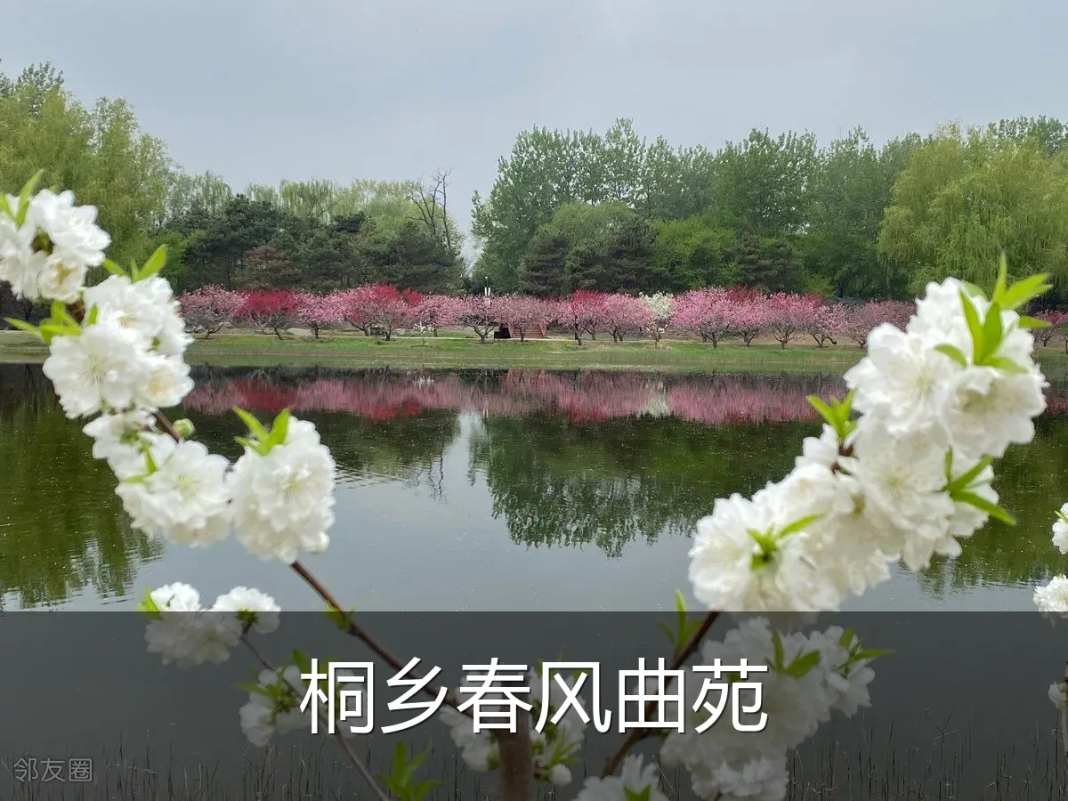 桐乡春风曲苑