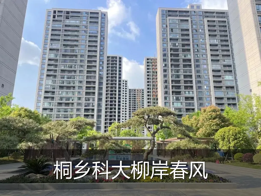 桐乡科大柳岸春风