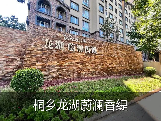桐乡龙湖蔚澜香缇